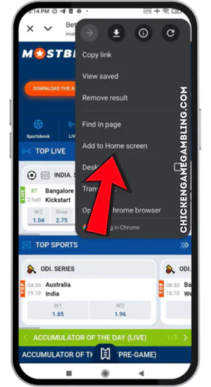Open Browser Menu